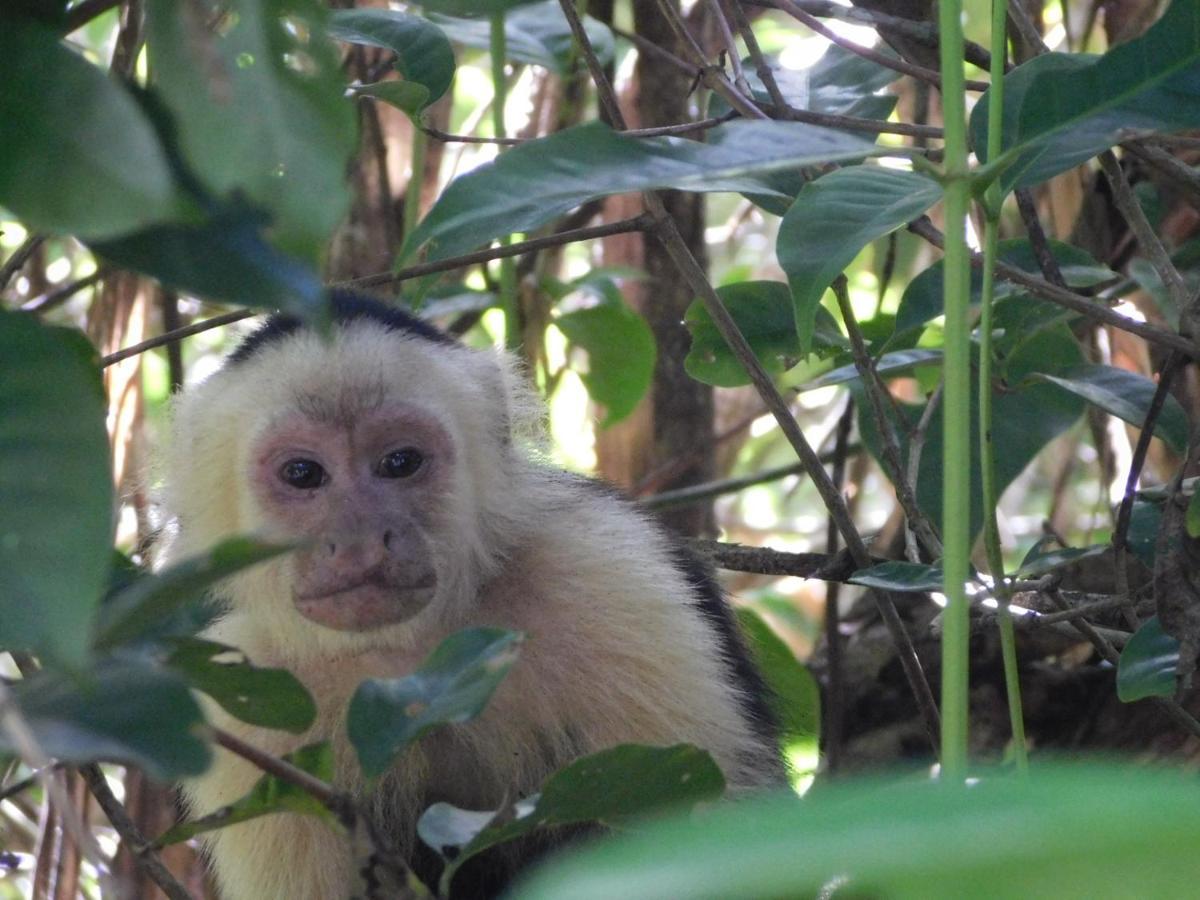 Guayabo Lodge Santa Cruz  Ngoại thất bức ảnh