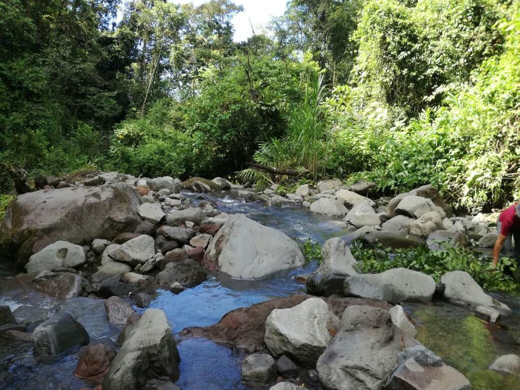 Guayabo Lodge Santa Cruz  Ngoại thất bức ảnh